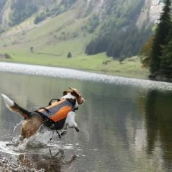 EQDOG Hondenzwemvest Classic -Hond winkel image 1048