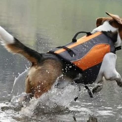 EQDOG Hondenzwemvest Classic -Hond winkel image 1049