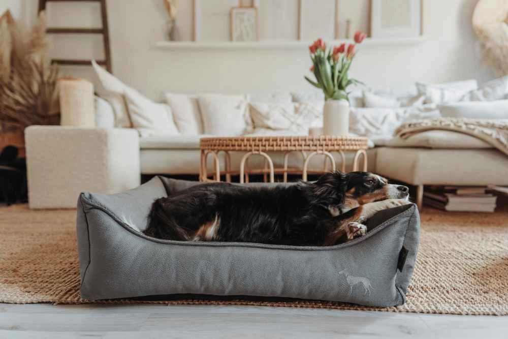 Hunter Orthopedische Hondenmand Merida Antraciet 4 Hunter Orthopedische Hondenmand Merida Antraciet - Afbeelding 2