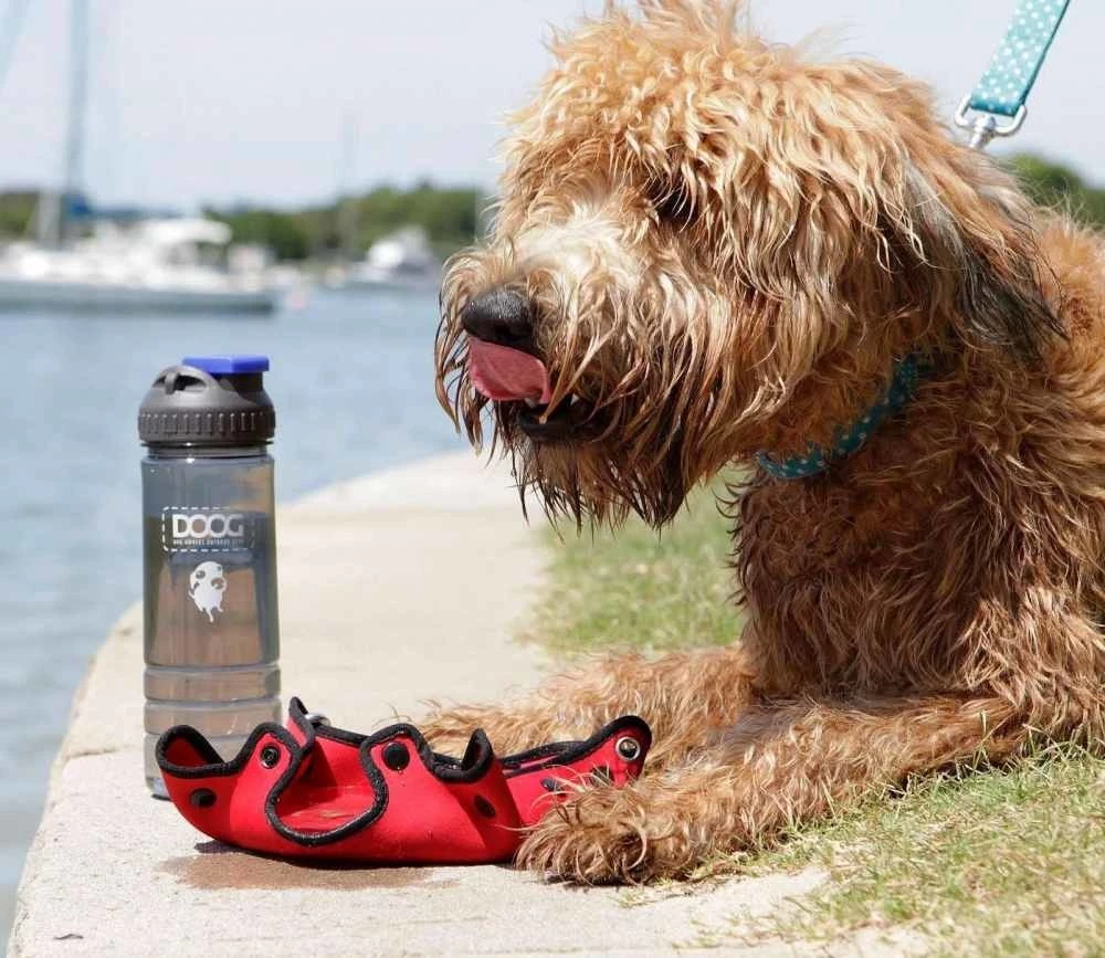 DOOG Waterfles Red 3-in-1 4 DOOG Waterfles Red 3-in-1 - Afbeelding 2