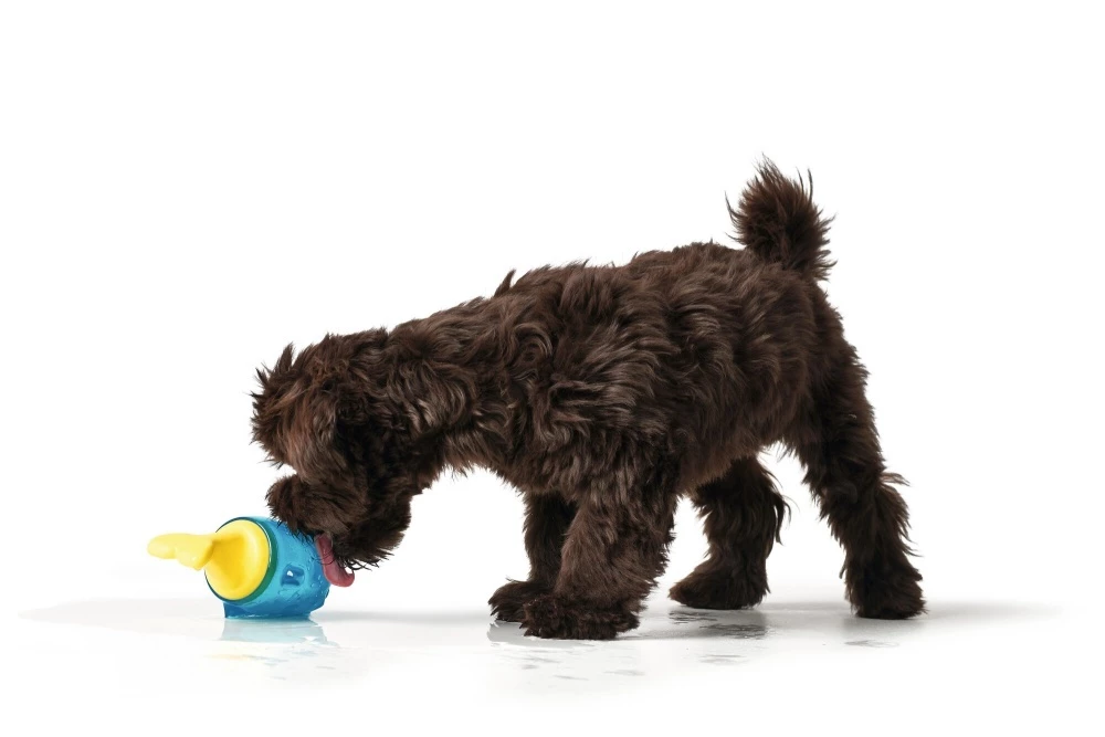 Hunter Koel Speelgoed Alaska 4 Hunter Koel Speelgoed Alaska - Afbeelding 2