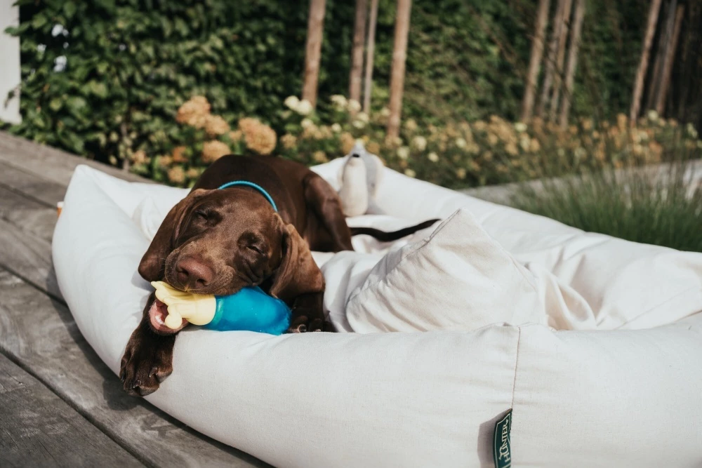 Hunter Koel Speelgoed Alaska 6 Hunter Koel Speelgoed Alaska - Afbeelding 4