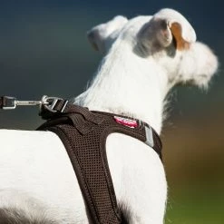 Curli Hondentuig Air-Mesh Harness Brown -Hond winkel image 1255