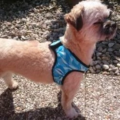 Aqua Coolkeeper Koel Harnas Comfy Cool Blue