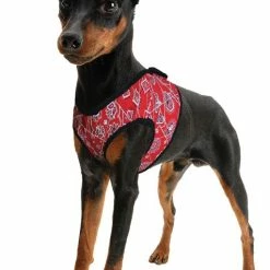 Aqua Coolkeeper Koel Harnas Comfy Cool Blue -Hond winkel image 1277