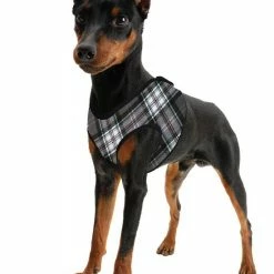 Aqua Coolkeeper Koel Harnas Comfy Scottish Grey