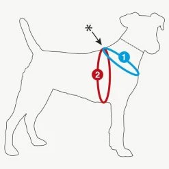 Curli Hondentuig Air-Mesh Harness Blauw -Hond winkel image 1294