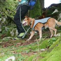 EQDOG Koelvest Cool Dog Blauw -Hond winkel image 1299