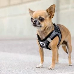 Curli Hondentuig Merino Zwart -Hond winkel image 1328