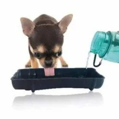 M-Pets Drinkfles Hond Travel Bottle Groen -Hond winkel image 1373