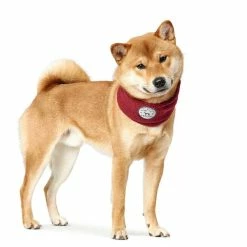 Hunter Hondensjaal Malmö Bordeaux -Hond winkel image 1396