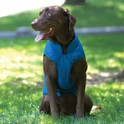 Kurgo Hondenjas Jacket Loft Blauw / Oranje -Hond winkel image 1402