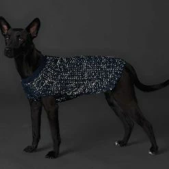 Hunter Hondentrui Finja Donkerblauw -Hond winkel image 1418