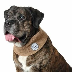 Hunter Hondensjaal Malmö Beige -Hond winkel image 1453