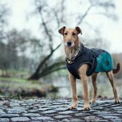 Hunter Hondenjas Uppsala Allrounder Teal