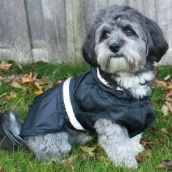 Hunter Regenjas Hond Uppsala Zwart -Hond winkel image 1474