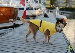 EQDOG Hondenbadjas Doggy Dry Geel -Hond winkel image 1480