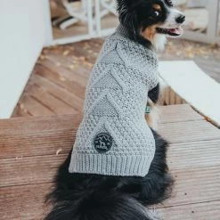 Hunter Hondentrui Malmö Grijs