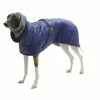 Fashion Dog Windhondenjas Blauw -Hond winkel image 1493