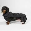Fashion Dog Hondenjas Teckel Zwart 2 Fashion Dog Hondenjas Teckel Zwart -Hond winkel image 1498