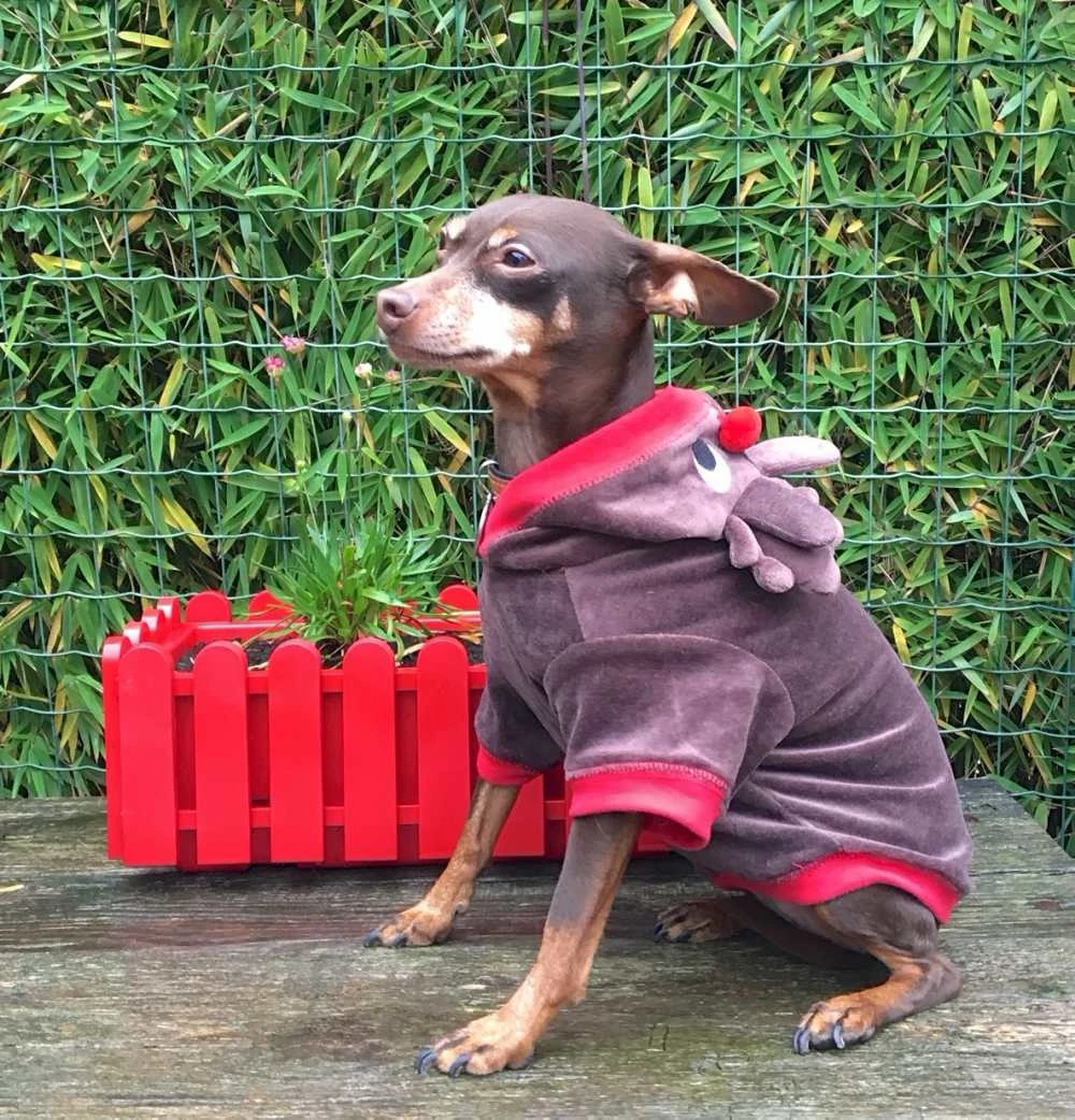 Ancol Hondenjas Rendier 4 Ancol Hondenjas Rendier - Afbeelding 2