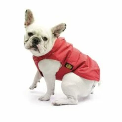 Fashion Dog Hondenjas Mopshond & Franse Buldog Rood