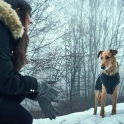 Hunter Hondenjas Uppsala Softshell -Hond winkel image 1552