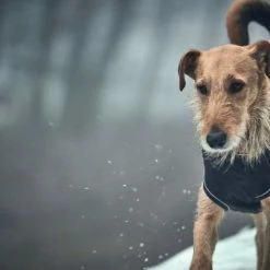 Hunter Hondenjas Uppsala Softshell -Hond winkel image 1553