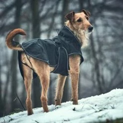 Hunter Hondenjas Uppsala Softshell -Hond winkel image 1554