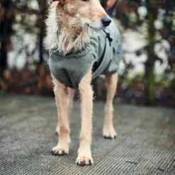 Hunter Hondenjas Uppsala Trend -Hond winkel image 1560