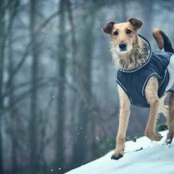 Hunter Hondenjas Uppsala Cozy Grijs