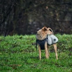 Hunter Hondenjas Uppsala Cozy Grijs 10 Hunter Hondenjas Uppsala Cozy Grijs -Hond winkel image 1568