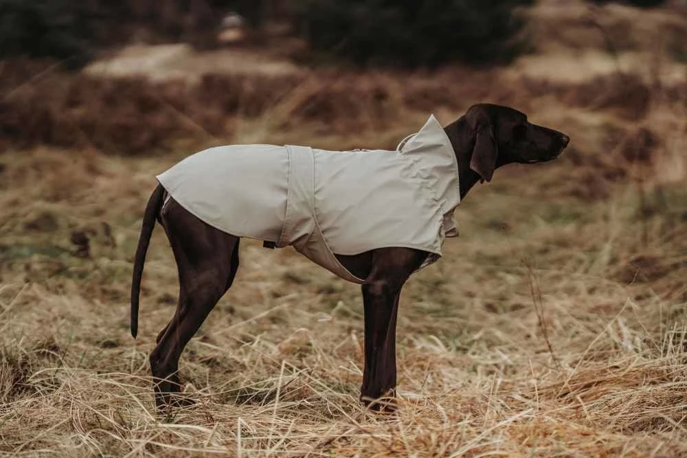 Hunter Regenjas Hond Milford Taupe 6 Hunter Regenjas Hond Milford Taupe - Afbeelding 4