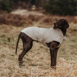 Hunter Regenjas Hond Milford Taupe 17 Hunter Regenjas Hond Milford Taupe -Hond winkel image 1576