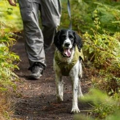 Ruffwear Hondenjas Fuse Cedar Green -Hond winkel image 1617