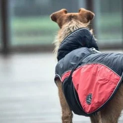 Hunter Hondenjas Uppsala Cozy Rood -Hond winkel image 1632