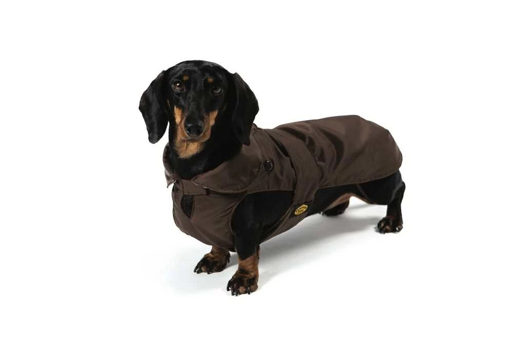 Fashion Dog Hondenjas Teckel Bruin 3 Fashion Dog Hondenjas Teckel Bruin