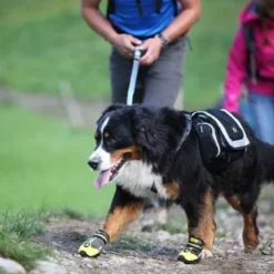 EQDOG Hondenschoen 4Seasons Geel -Hond winkel image 1640