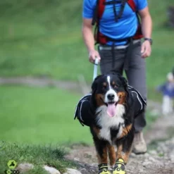 EQDOG Hondenschoen 4Seasons Geel -Hond winkel image 1644