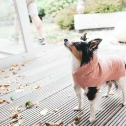 Hunter Hondentrui Rögla Roze -Hond winkel image 1656