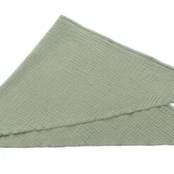 Hunter Hondensjaal Nola Bandana Groen -Hond winkel image 1662