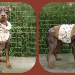 Doxtasy Hondenjas Supersoft ArtFurry Leopard/Beige