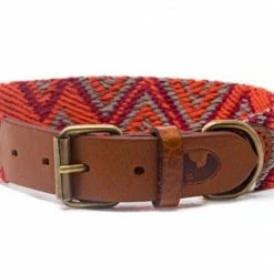 Buddys Hondenhalsband Peruvian Orange Pikes