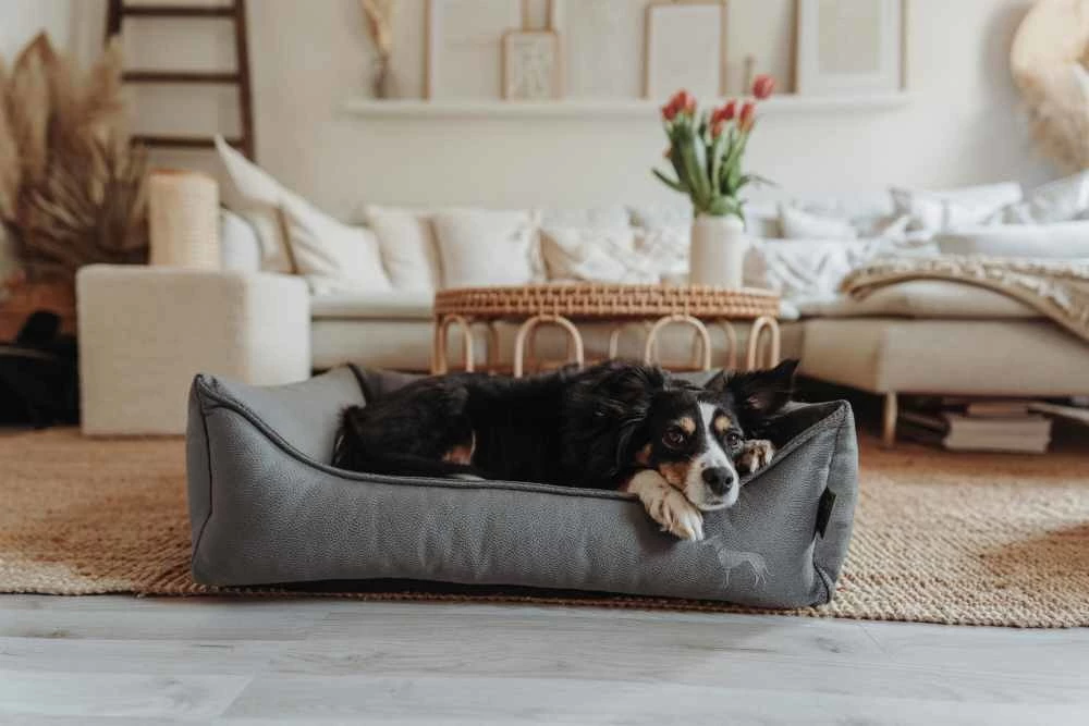 Hunter Orthopedische Hondenmand Merida Antraciet 9 Hunter Orthopedische Hondenmand Merida Antraciet - Afbeelding 7