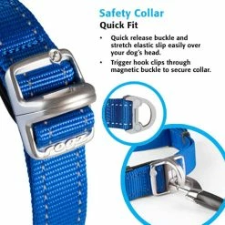 Rogz Hondenhalsband Safety Roze -Hond winkel image 1707