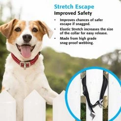 Rogz Hondenhalsband Safety Roze -Hond winkel image 1709