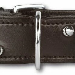 Doxtasy Hondenhalsband Double Spike 35 Mm