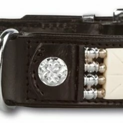 Doxtasy Hondenhalsband Colours Of The Wind 35mm