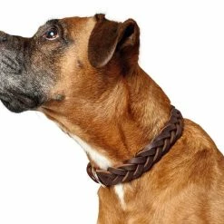 Hunter Hondenhalsband Solid Education Bruin