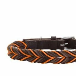 Hunter Hondenhalsband Solid Education Cord Bruin Oranje 11 Hunter Hondenhalsband Solid Education Cord Bruin Oranje -Hond winkel image 1789